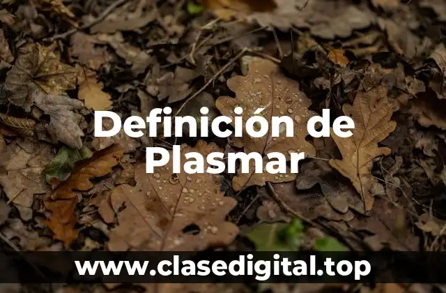 Definición de Plasmar