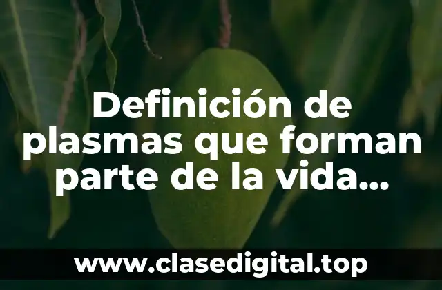 Definición de plasmas que forman parte de la vida cotidiana