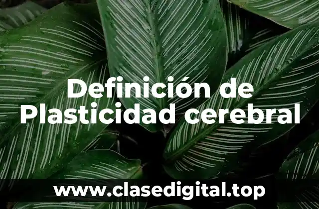 Definición de Plasticidad cerebral