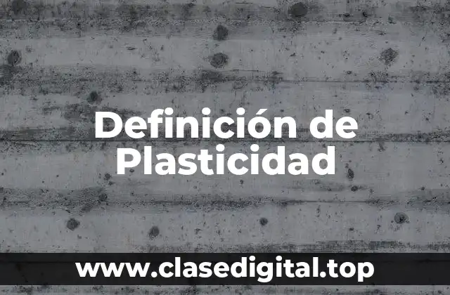 Definición de Plasticidad