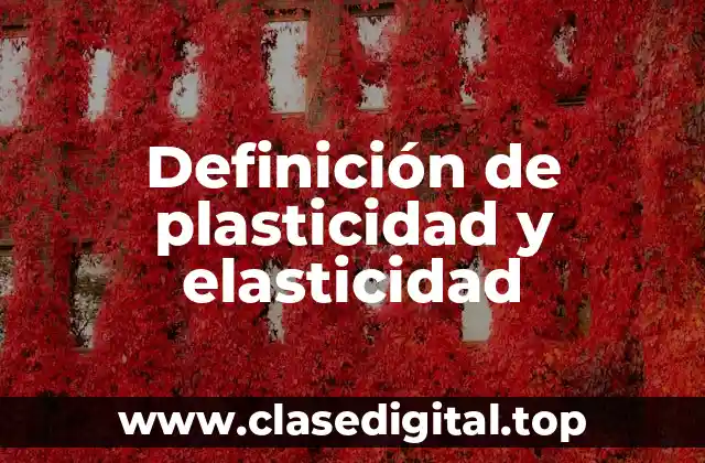 Ejemplos de plasticidad