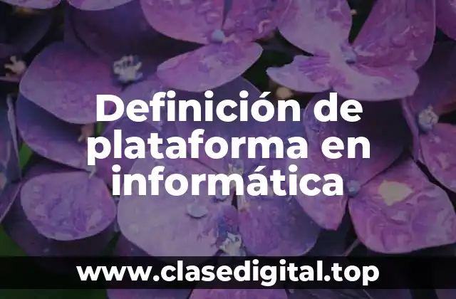 Definición de plataforma en informática