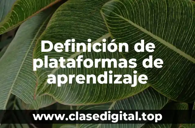 Definición de plataformas de aprendizaje