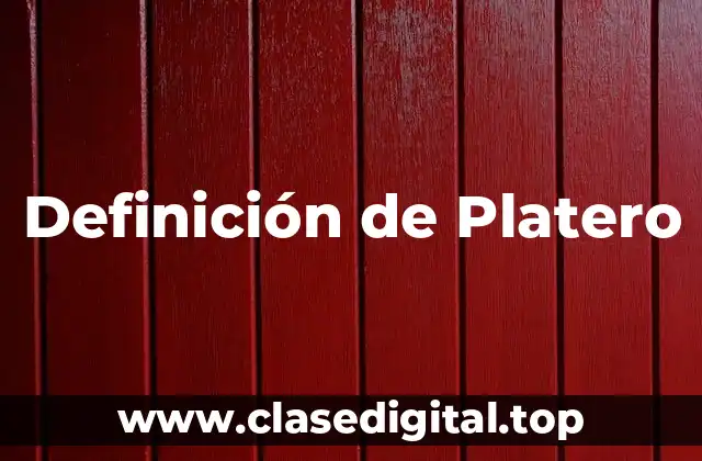 Definición de Platero