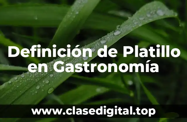 Definición de Platillo en Gastronomía