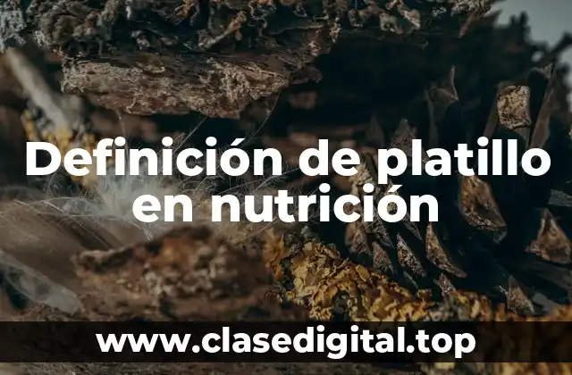 Definición de platillo en nutrición