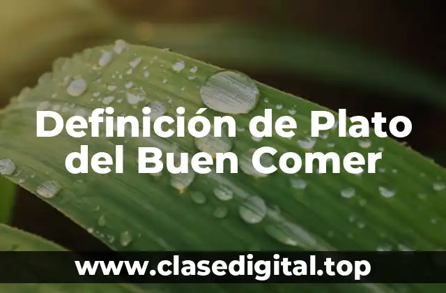 Definición de Plato del Buen Comer