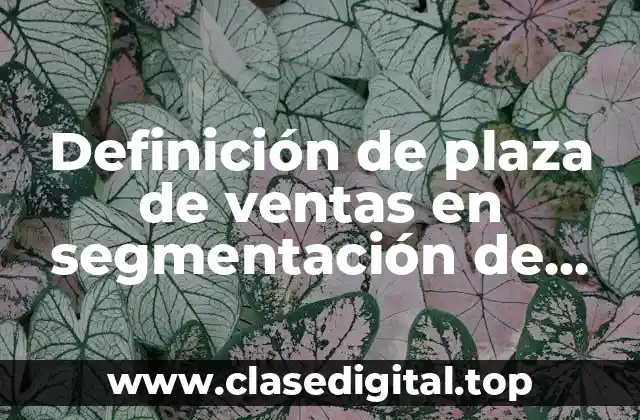 Definición de plaza de ventas en segmentación de mercado