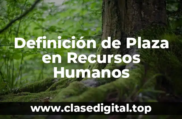 Definición de Plaza en Recursos Humanos