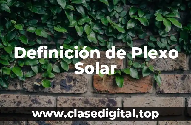 Definición de Plexo Solar