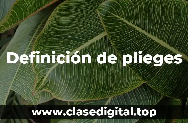 Definición de plieges