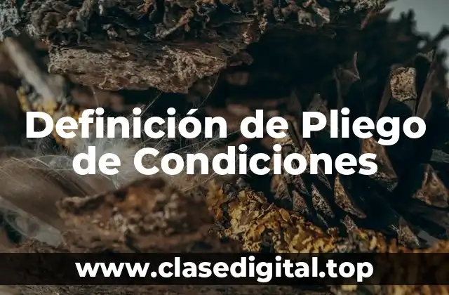 Definición de Pliego de Condiciones