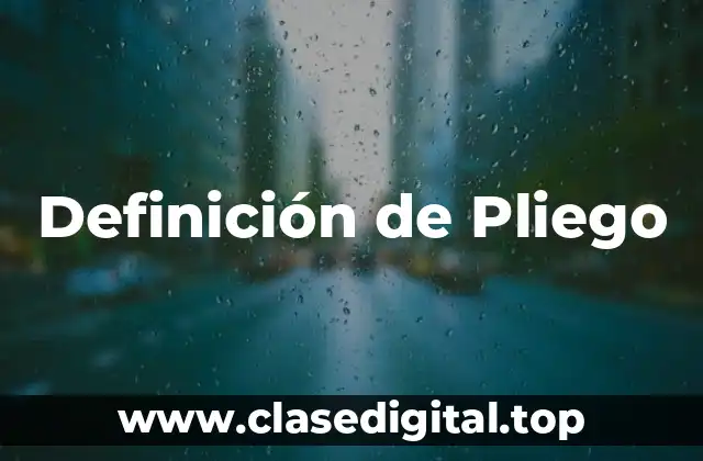 Definición de Pliego