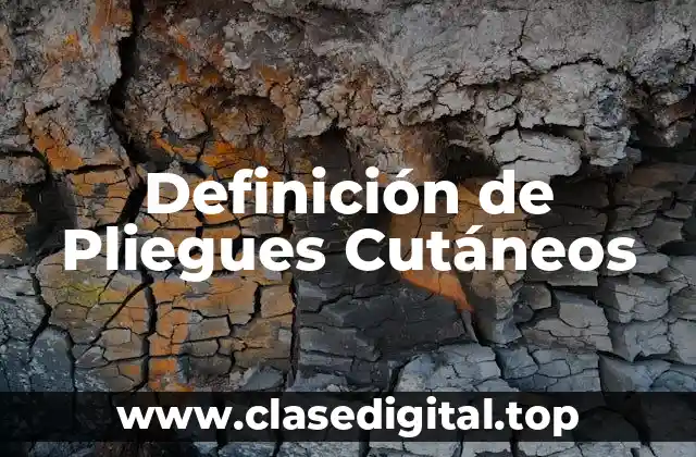 Definición de Pliegues Cutáneos