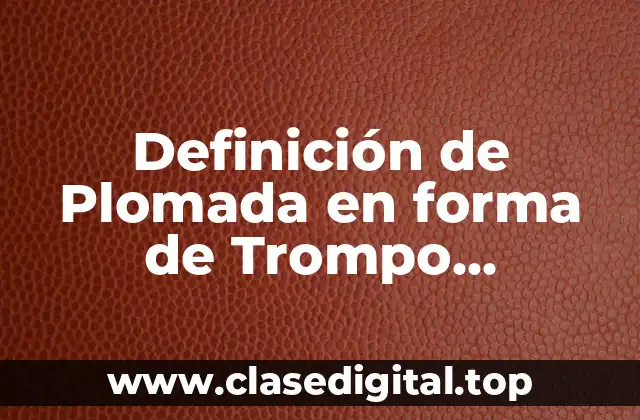 Definición de Plomada en forma de Trompo Topográfica