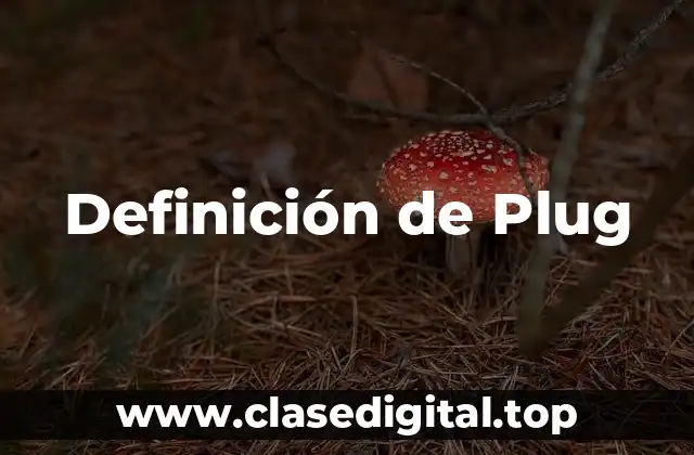 Definición de Plug