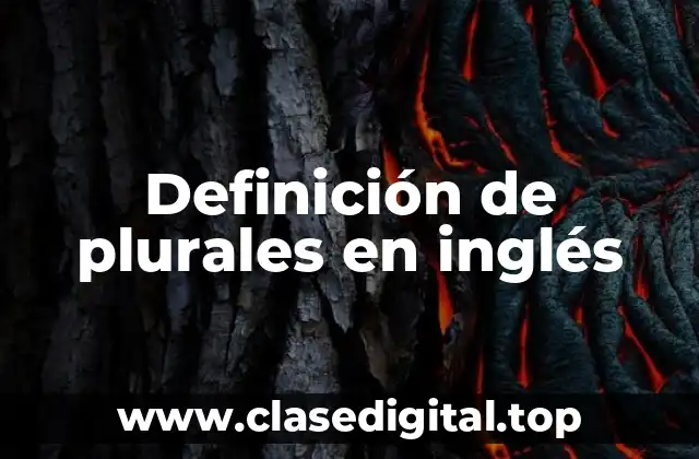 Definición de plurales en inglés
