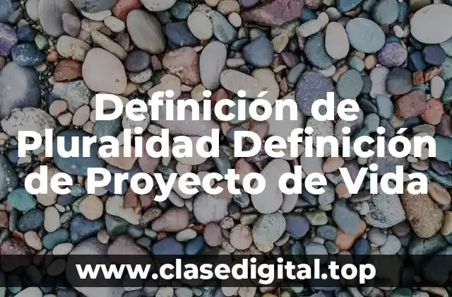 Definición de Pluralidad Definición de Proyecto de Vida