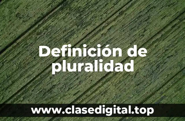 Definición de pluralidad