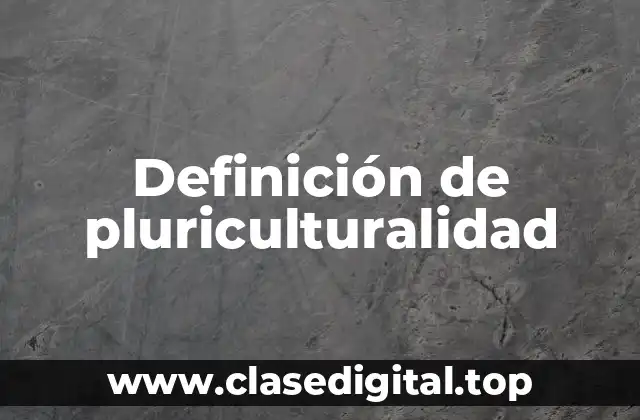 Definición técnica de pluriculturalidad