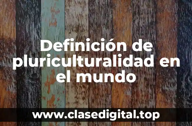 Definición de pluriculturalidad en el mundo
