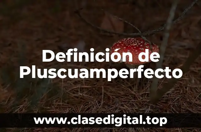 Definición de Pluscuamperfecto