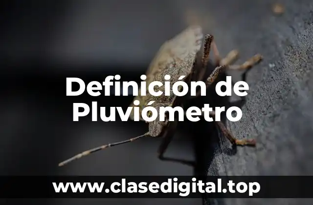 Definición de Pluviómetro