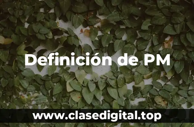 Definición técnica de PM