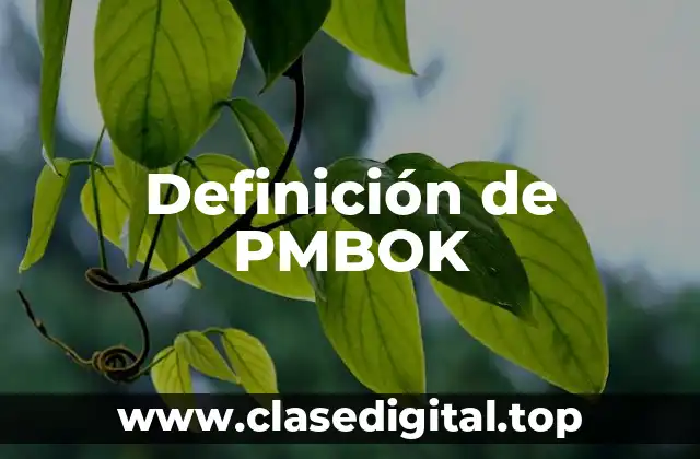 Definición de PMBOK