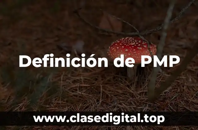 Definición técnica de PMP