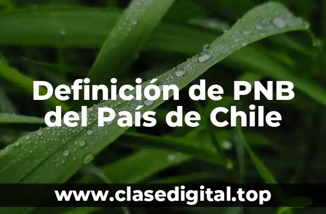 Definición de PNB del País de Chile