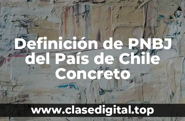 Definición de PNBJ del País de Chile Concreto