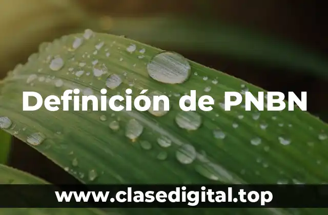 Definición de PNBN