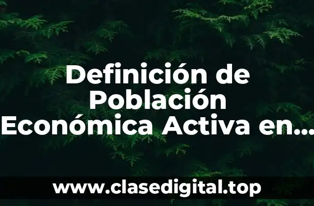 Definición de Población Económica Activa en México