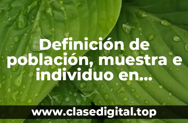 Definición de población, muestra e individuo en estadística