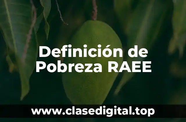 Definición de Pobreza RAEE