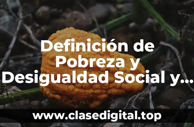 Definición de Pobreza y Desigualdad Social y Marginación
