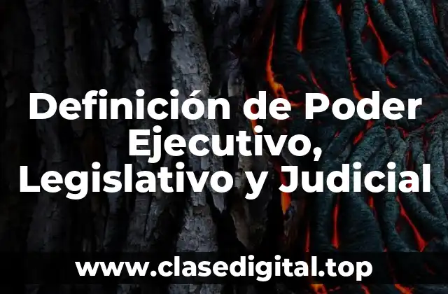 Definición técnica de Poder Ejecutivo, Legislativo y Judicial