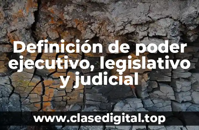 Definición técnica de poder ejecutivo