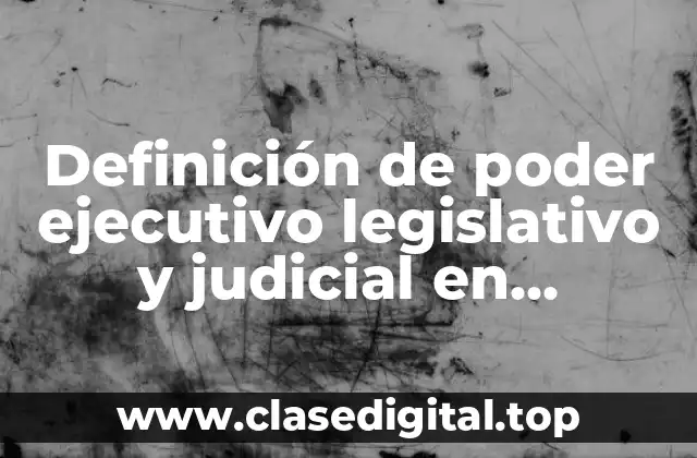 Definición de poder ejecutivo legislativo y judicial en Argentina