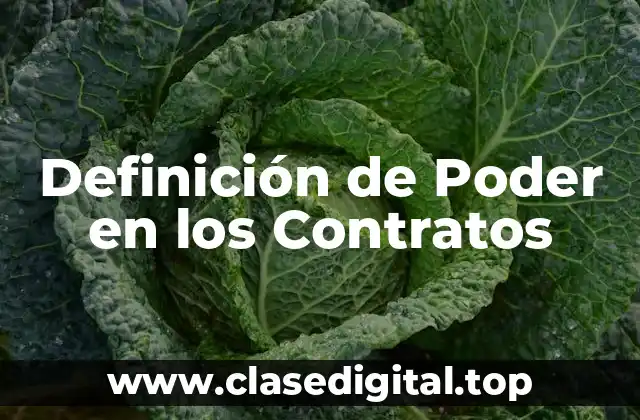 Definición de Poder en los Contratos