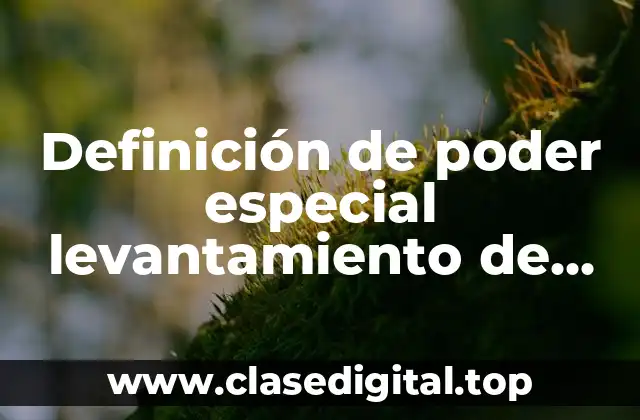 Definición de poder especial levantamiento de prenda