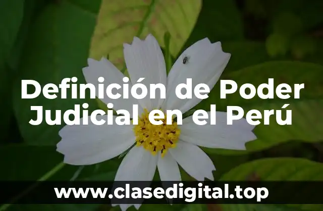 Definición de Poder Judicial en el Perú
