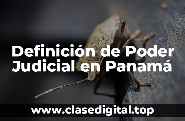 Definición de Poder Judicial en Panamá