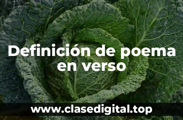 Definición de poema en verso
