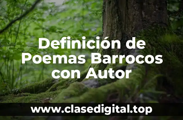 Definición de Poemas Barrocos con Autor