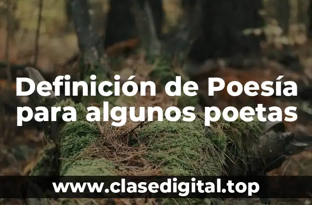 Definición de Poesía para algunos poetas