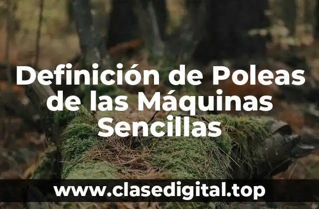 Definición de Poleas de las Máquinas Sencillas