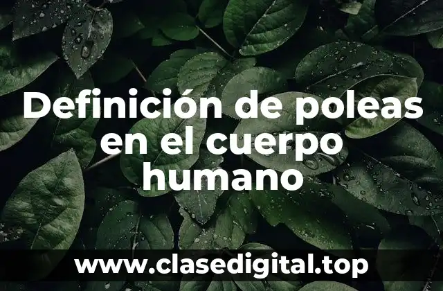 Ejemplos de poleas en el cuerpo humano