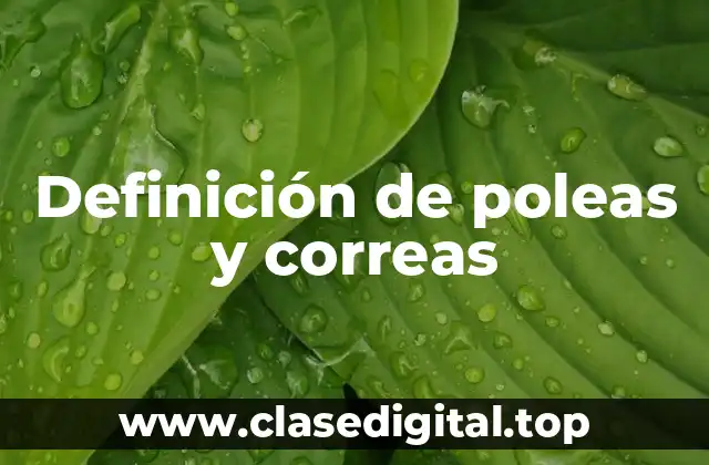 Definición de poleas y correas